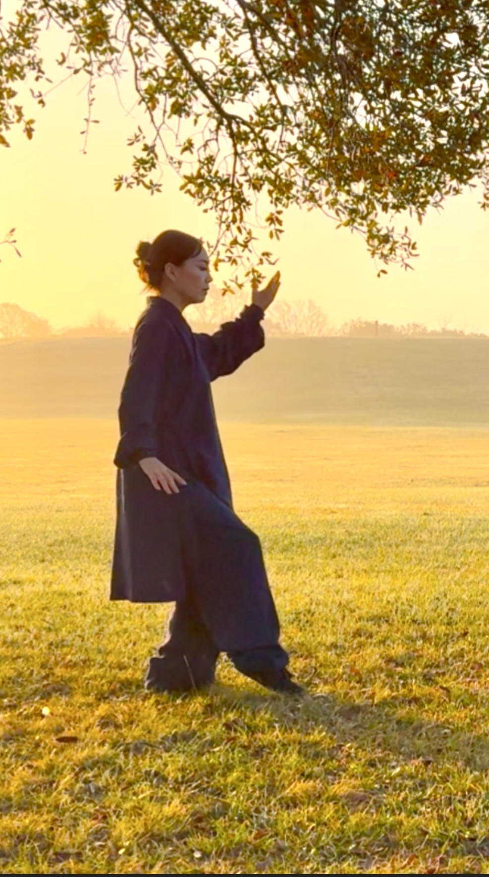 10 Private Online Tai Chi Sessions